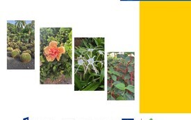 Slide14