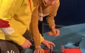 aw9