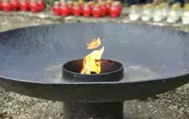 481301882_655758323635606_6507808012361635695_n
